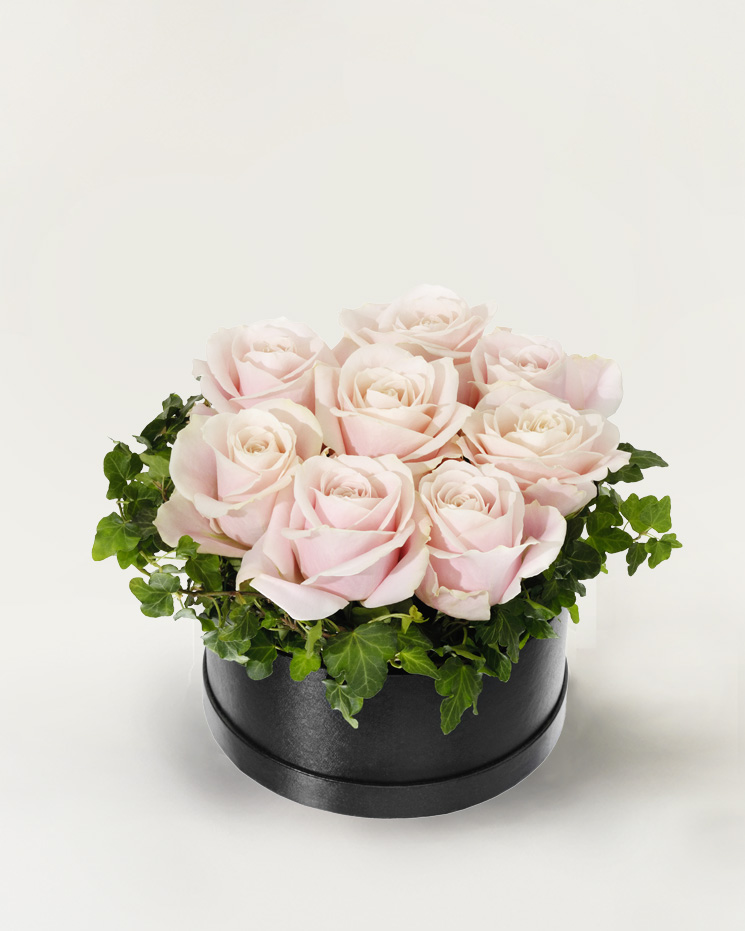 Rosa rosboxen, stor